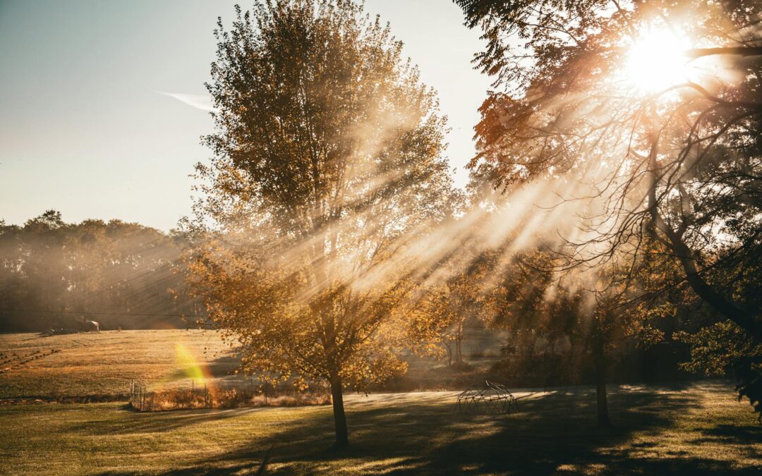 Trust Grows Where Safety is Repeated